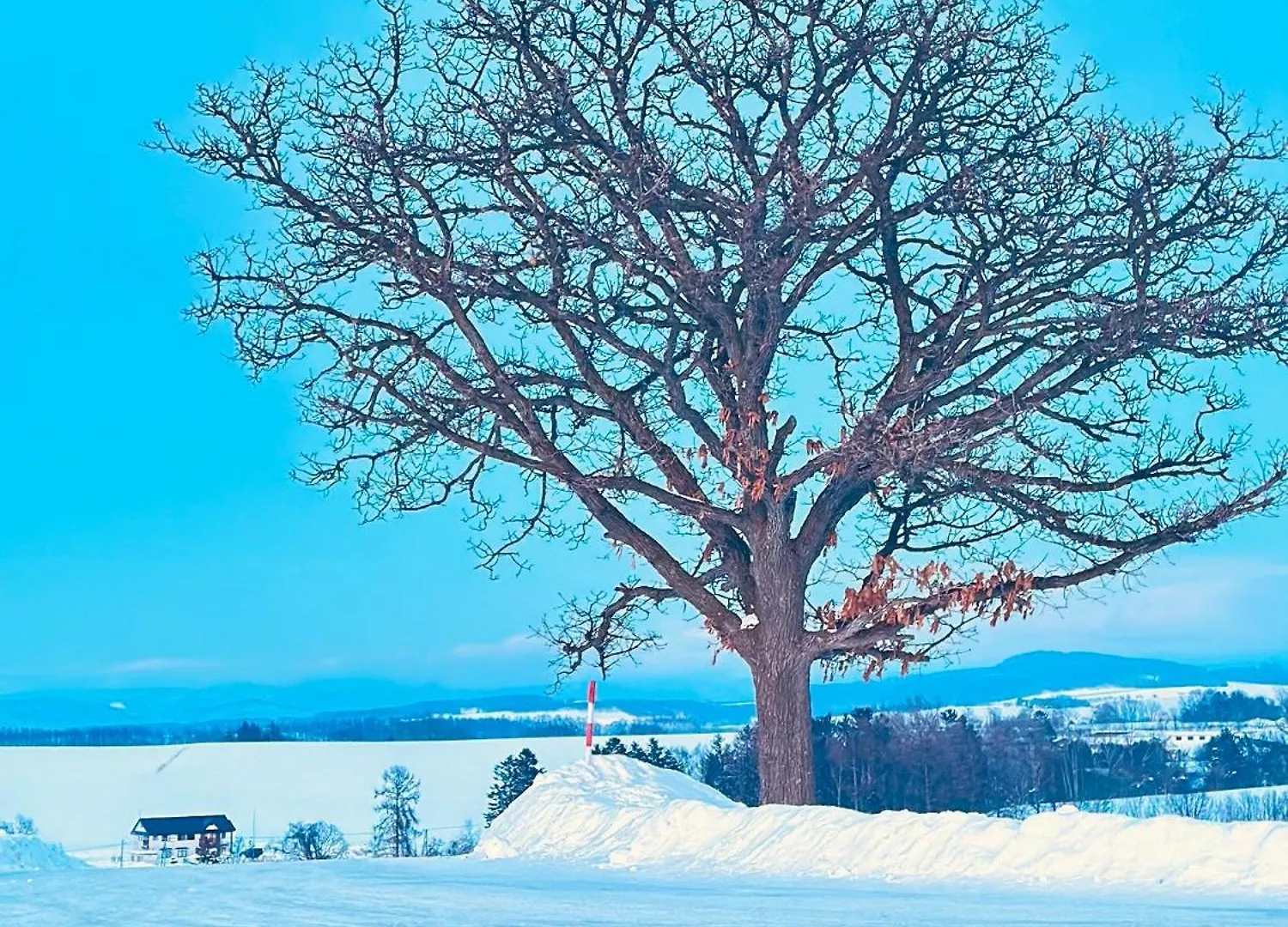 Vendégház Pension Yunshuiyao雲水瑶民宿 NakaNakafurano Japán