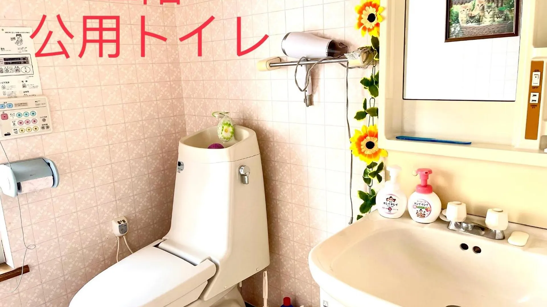 Vendégház Pension Yunshuiyao雲水瑶民宿 NakaNakafurano Japán