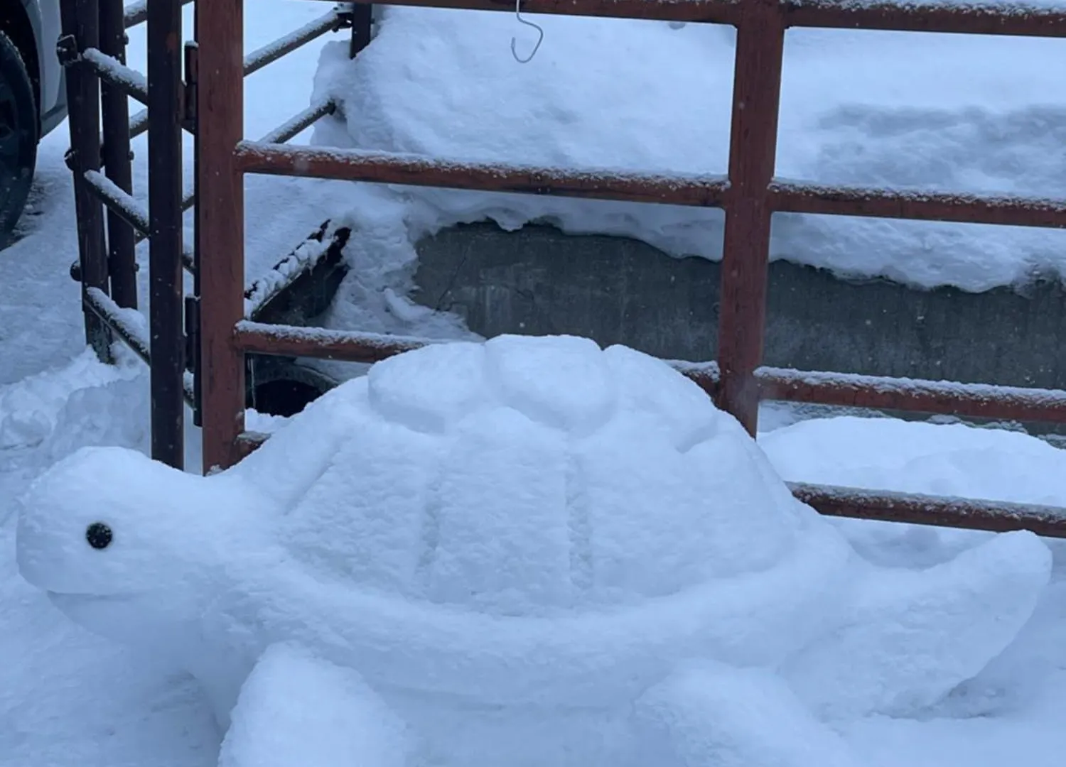 Pension Yunshuiyao雲水瑶民宿 Furano 0*,