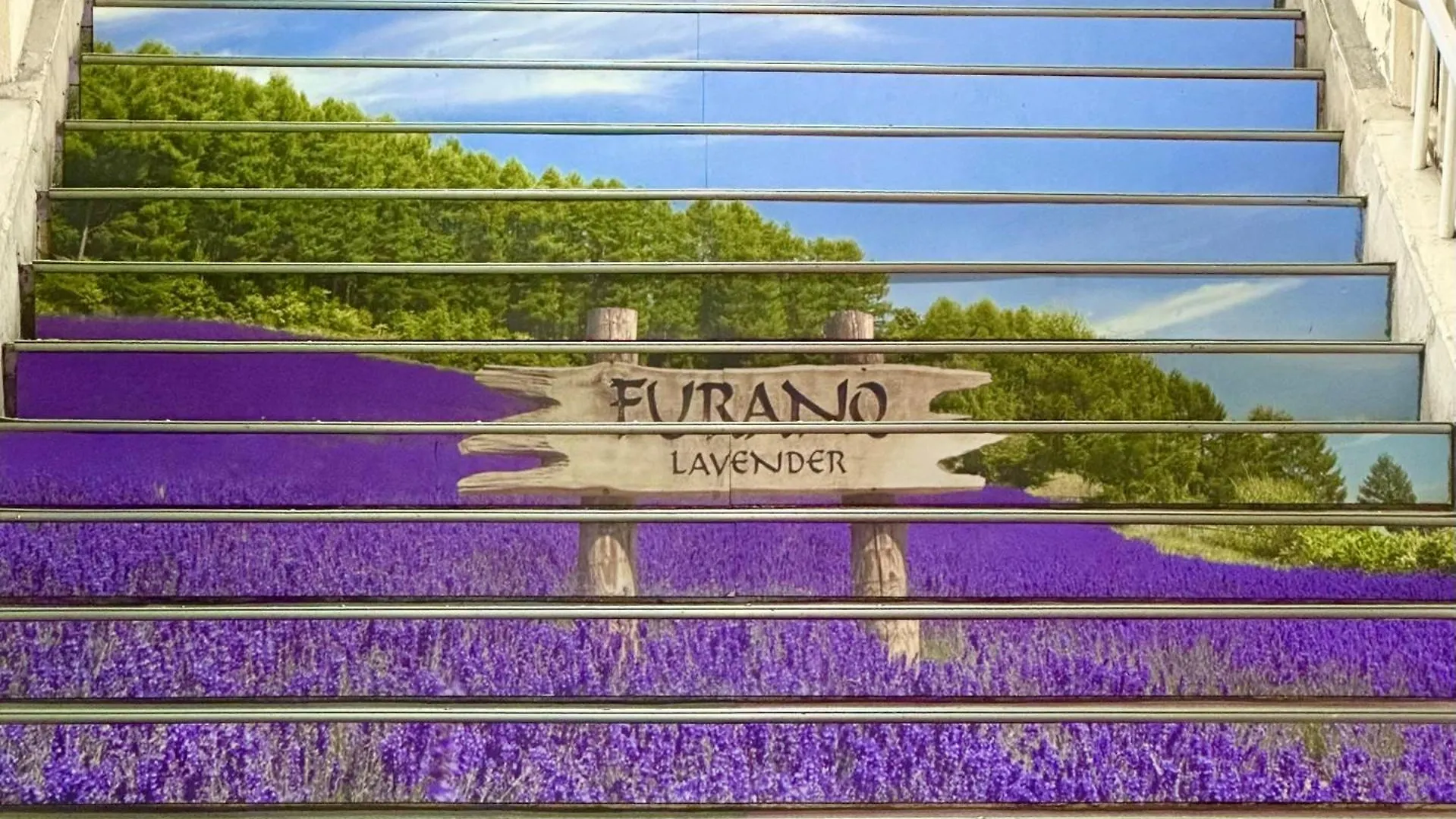 Guest house Pension Yunshuiyao雲水瑶民宿 Furano